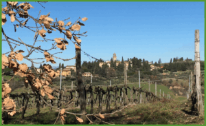 Best time to visit Tuscany